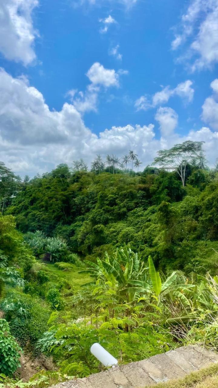 Solana Wellness Retreat